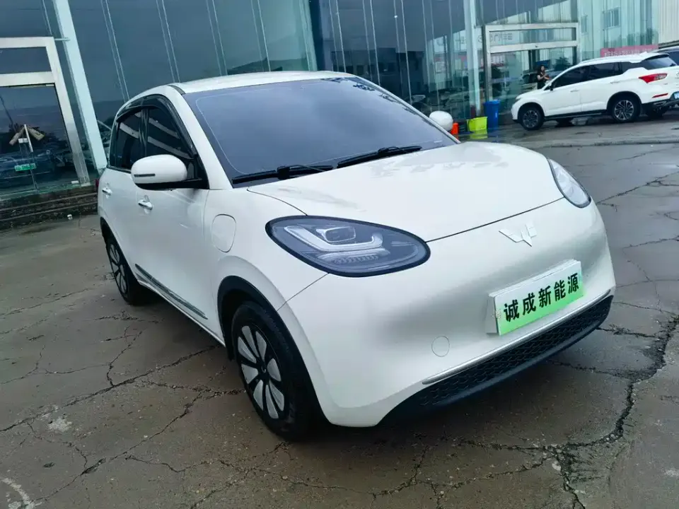 Wuling Bingo