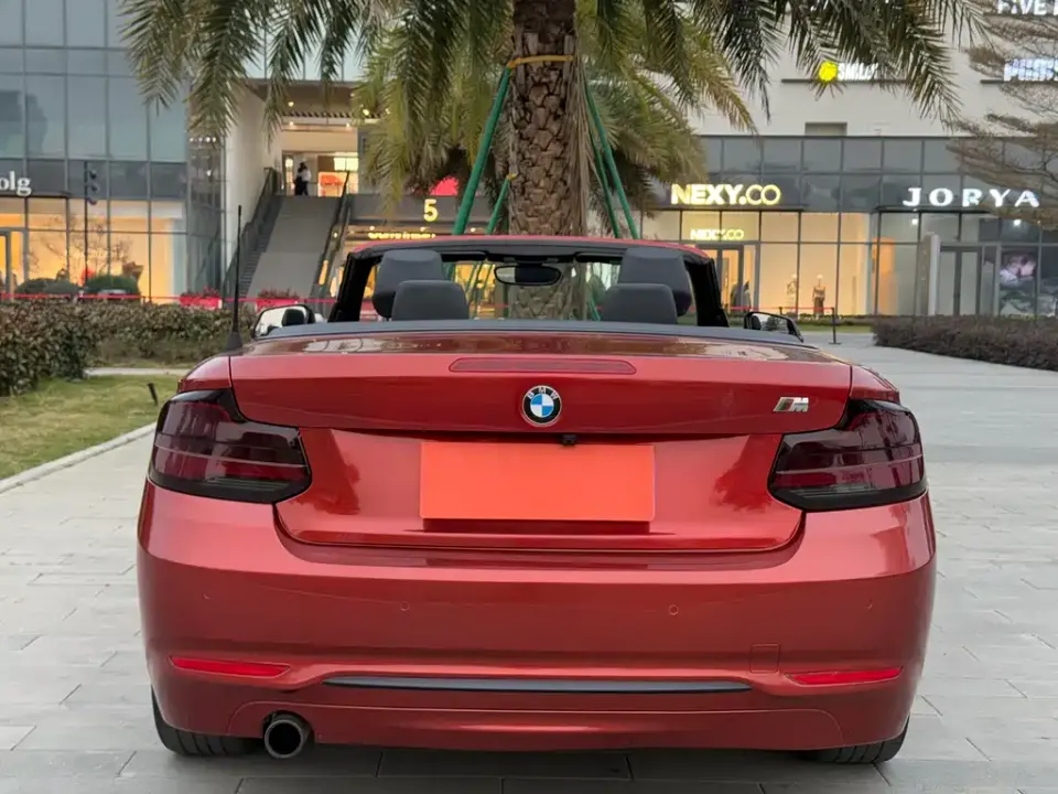 BMW 2 Series (Import)