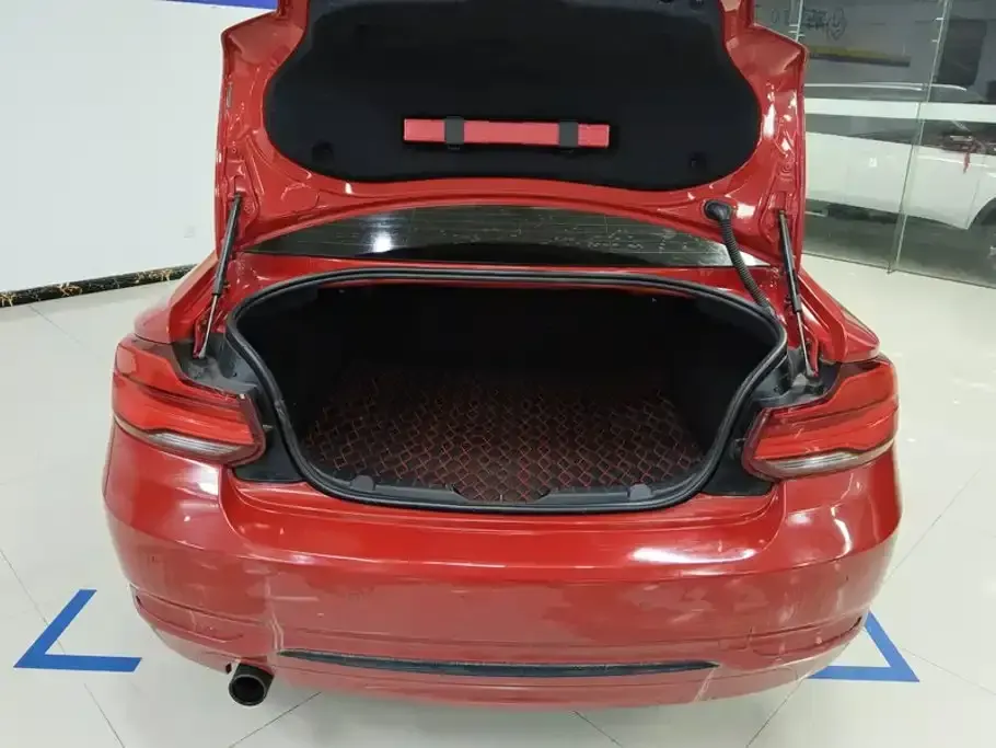 BMW 2 Series (Import)