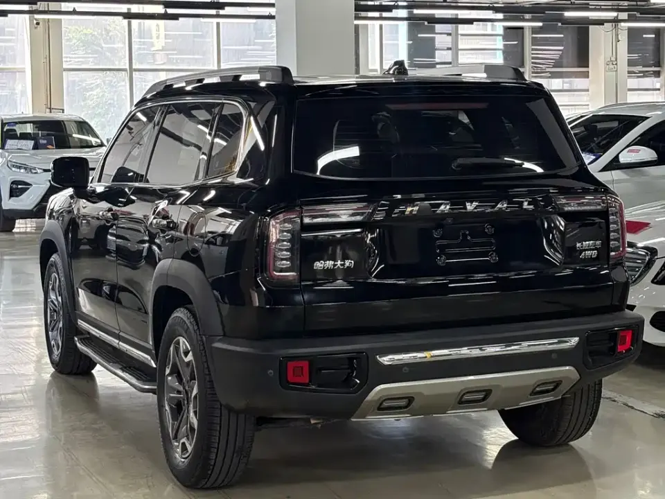 Haval Big Dog