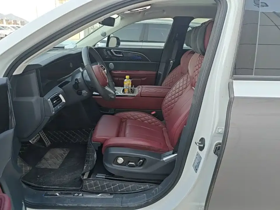 Hongqi Hongqi E-HS9