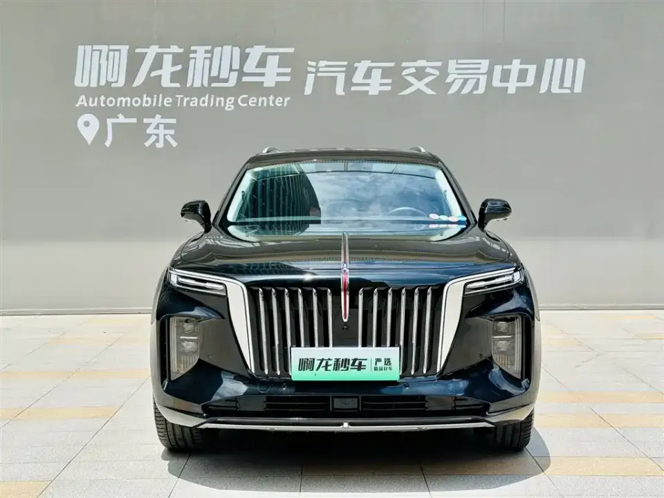 Hongqi Hongqi E-HS9