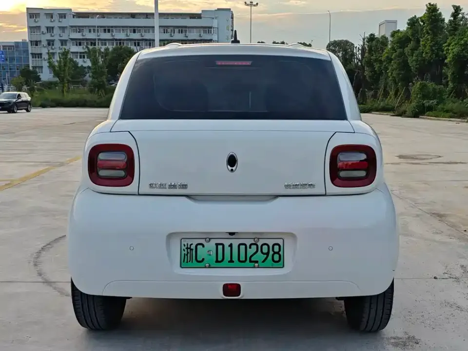 ORA Ora Black Cat