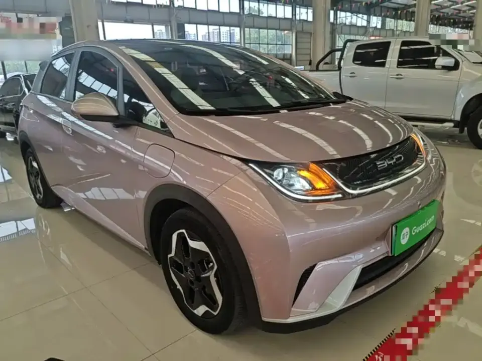 BYD Dolphin