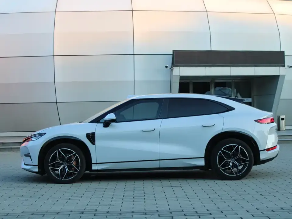BYD L EV