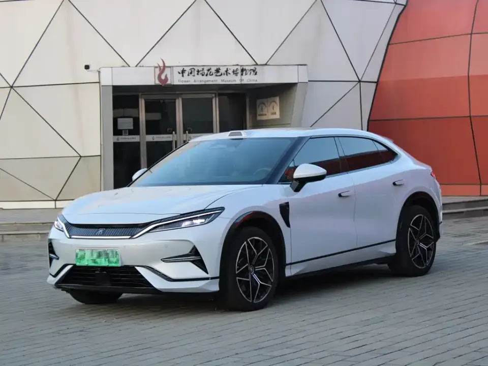 BYD L EV