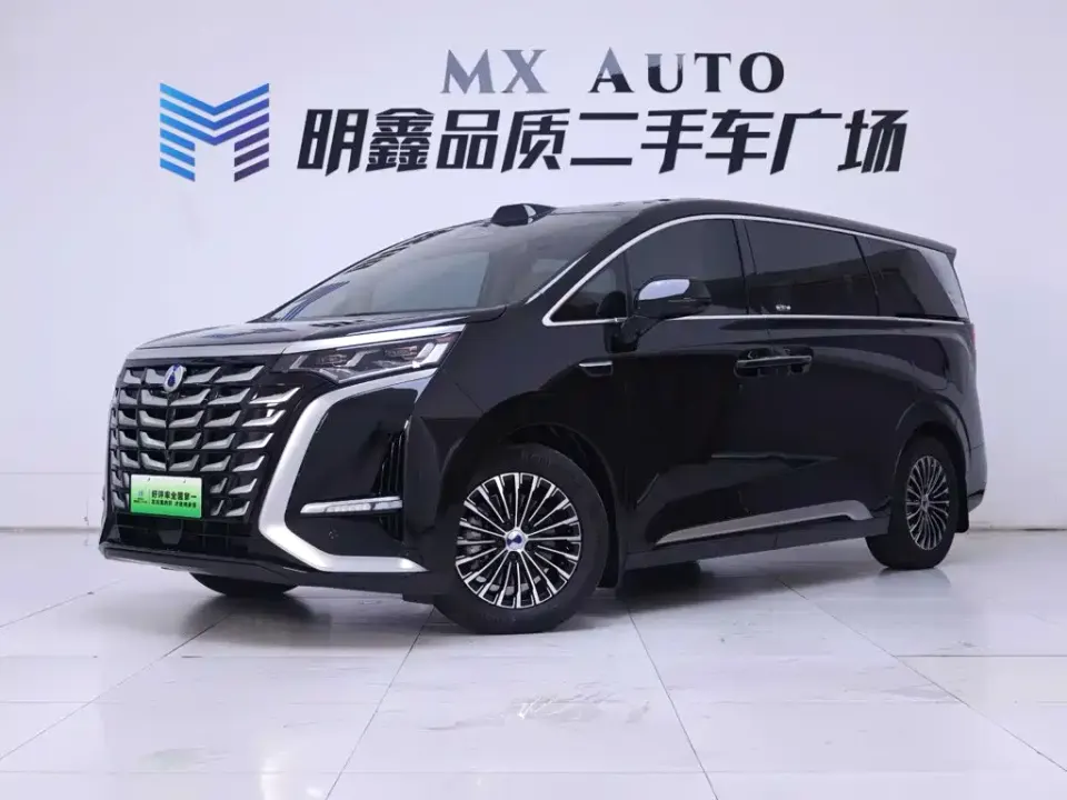 Denza Denza D9