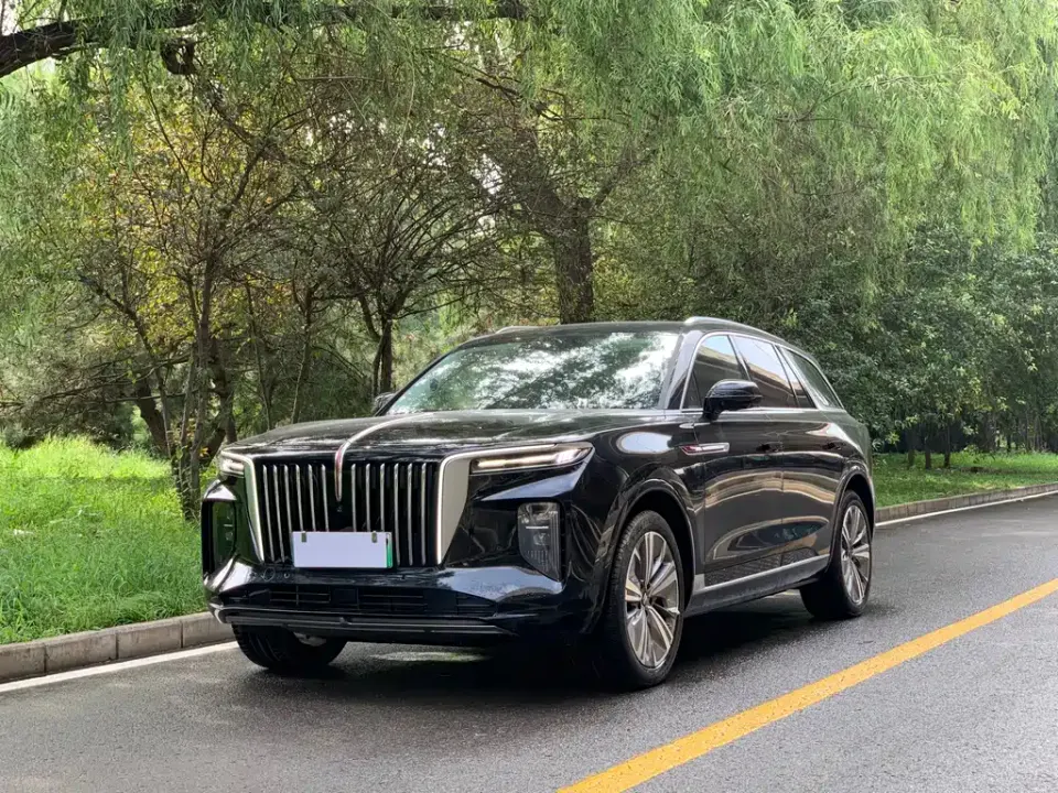 Hongqi Hongqi E-HS9