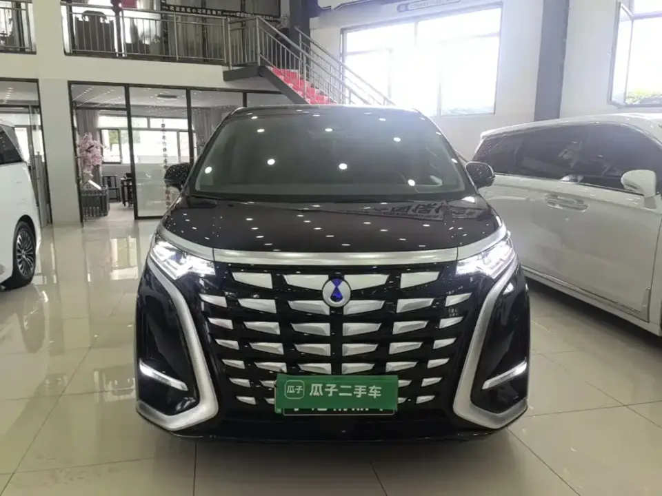 Denza Denza D9