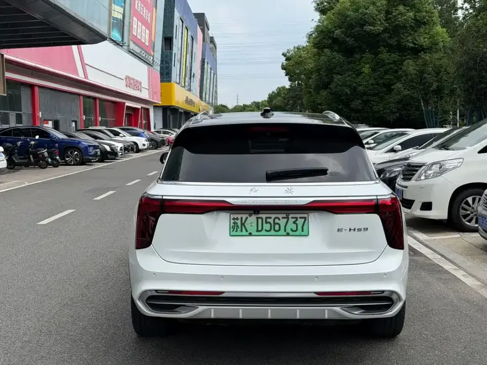 Hongqi Hongqi E-HS9