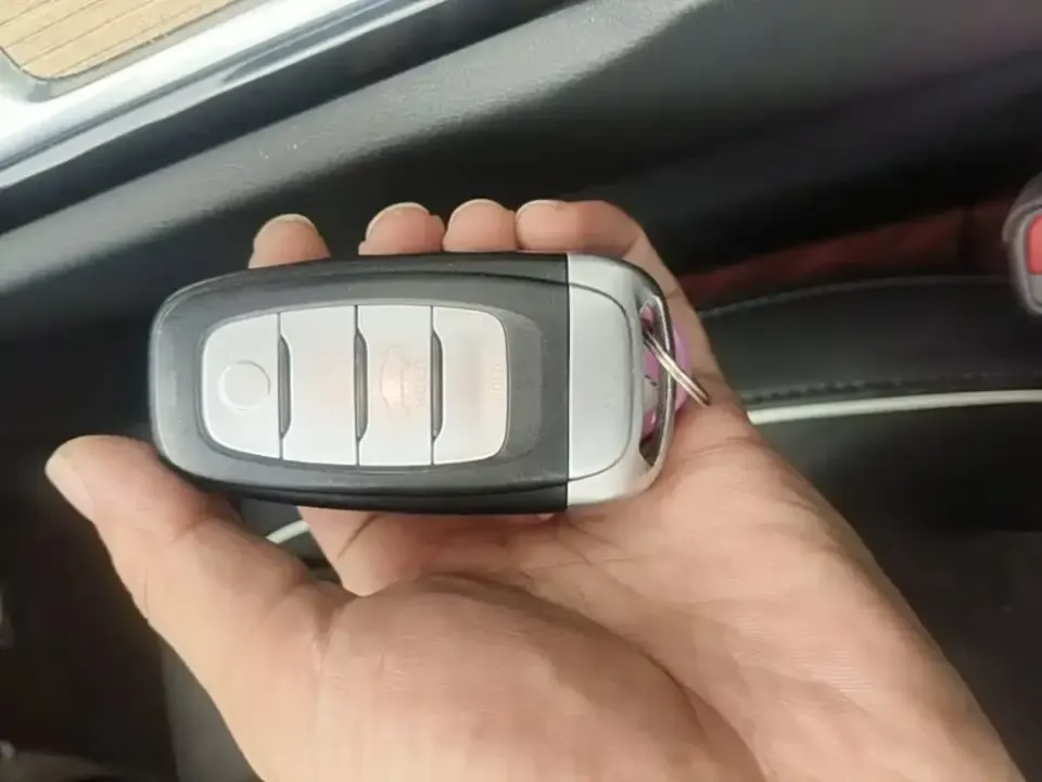 Hongqi Hongqi E-HS9