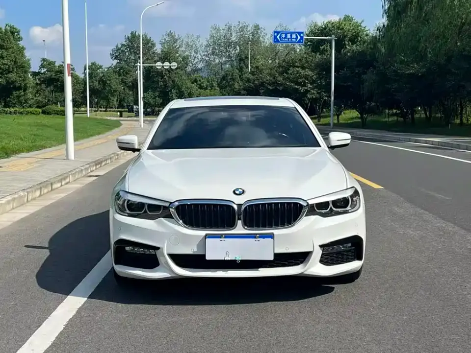 BMW 5 Series (Import)