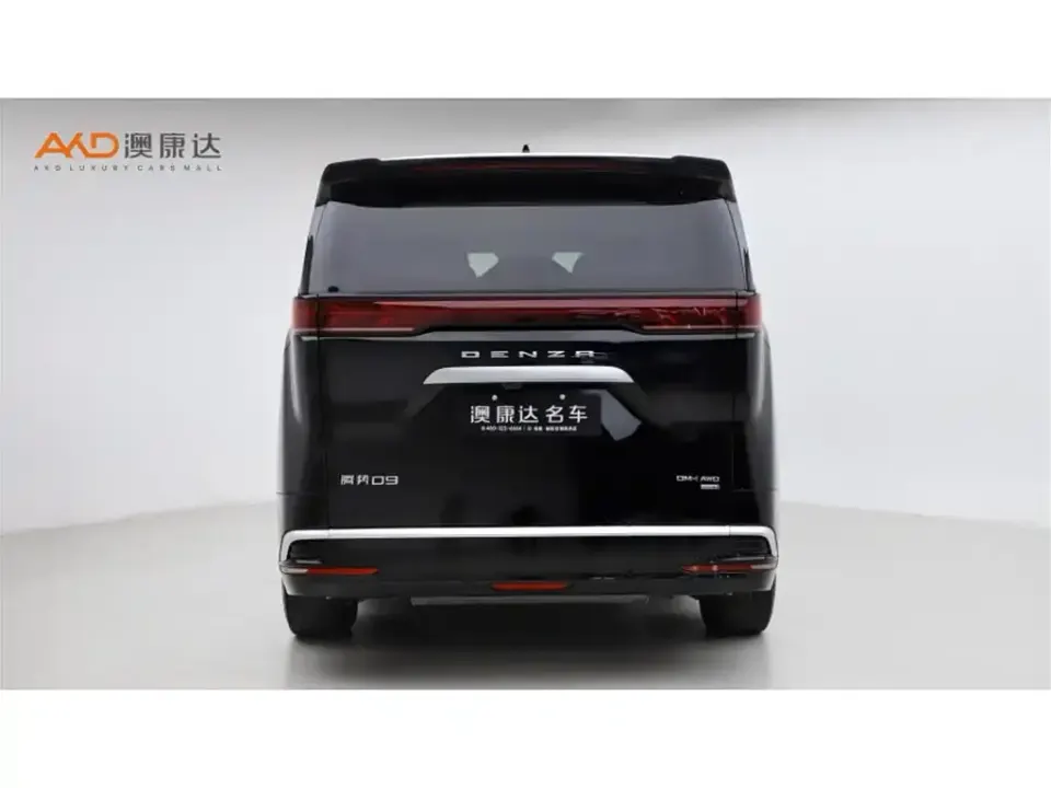 Denza Denza D9