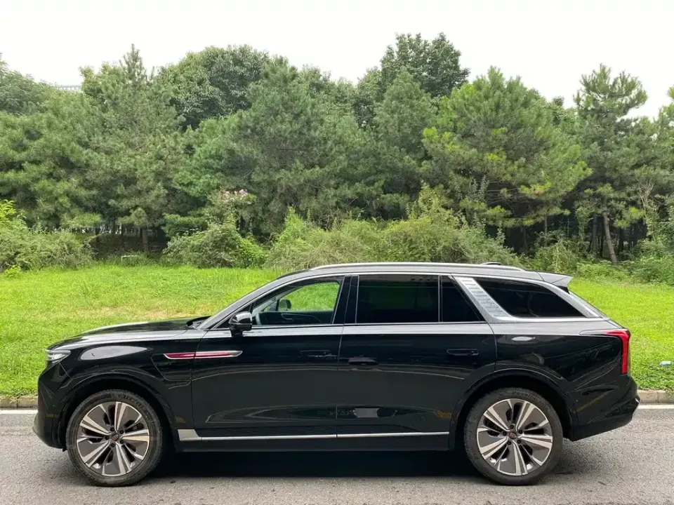 Hongqi Hongqi E-HS9