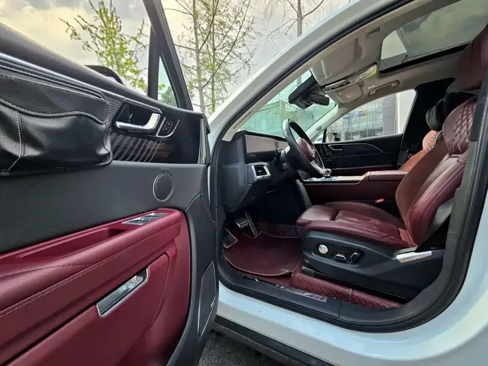 Hongqi Hongqi E-HS9