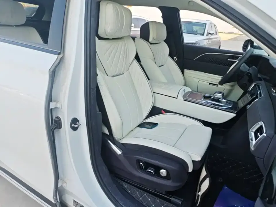 Hongqi Hongqi E-HS9