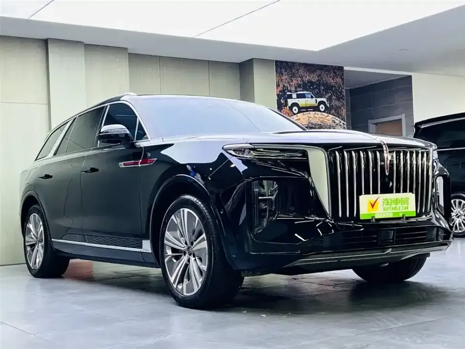 Hongqi Hongqi E-HS9