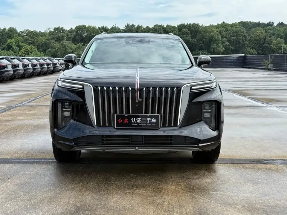 Hongqi Hongqi E-HS9