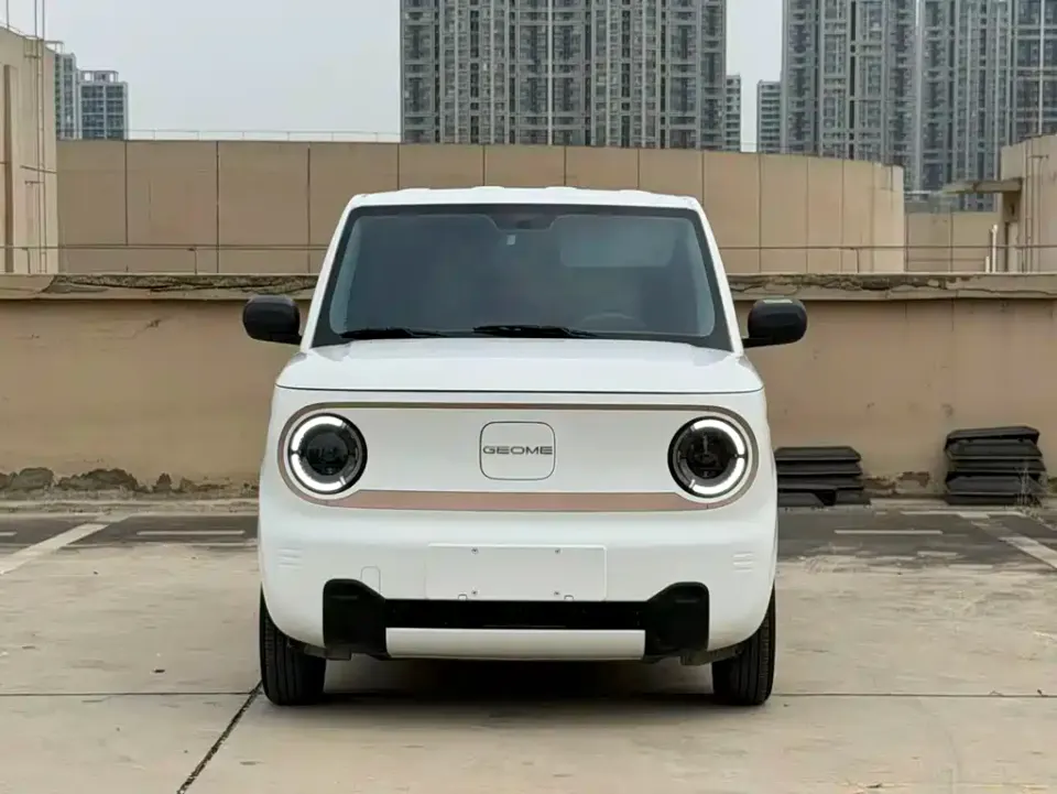 Galaxy Panda