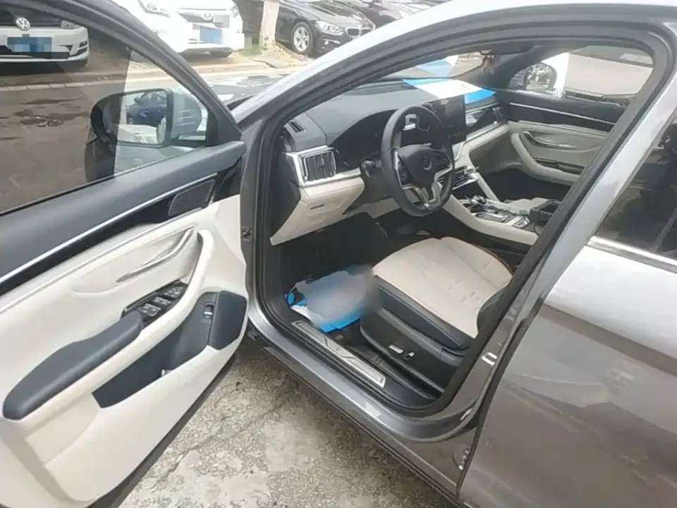 BYD PLUS New Energy