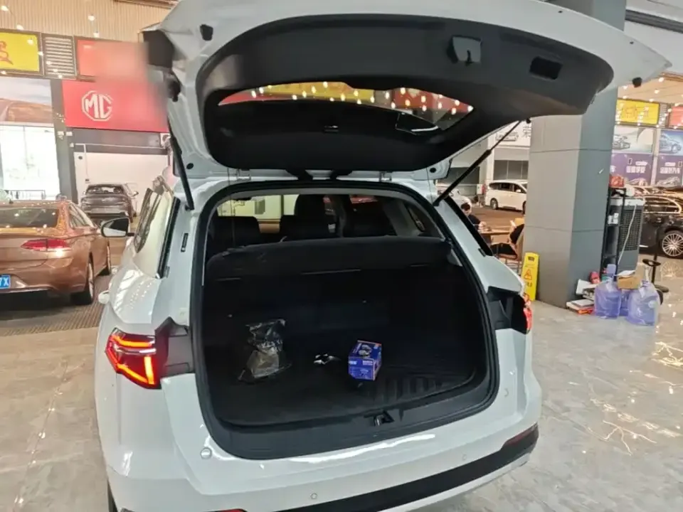 BYD Pro