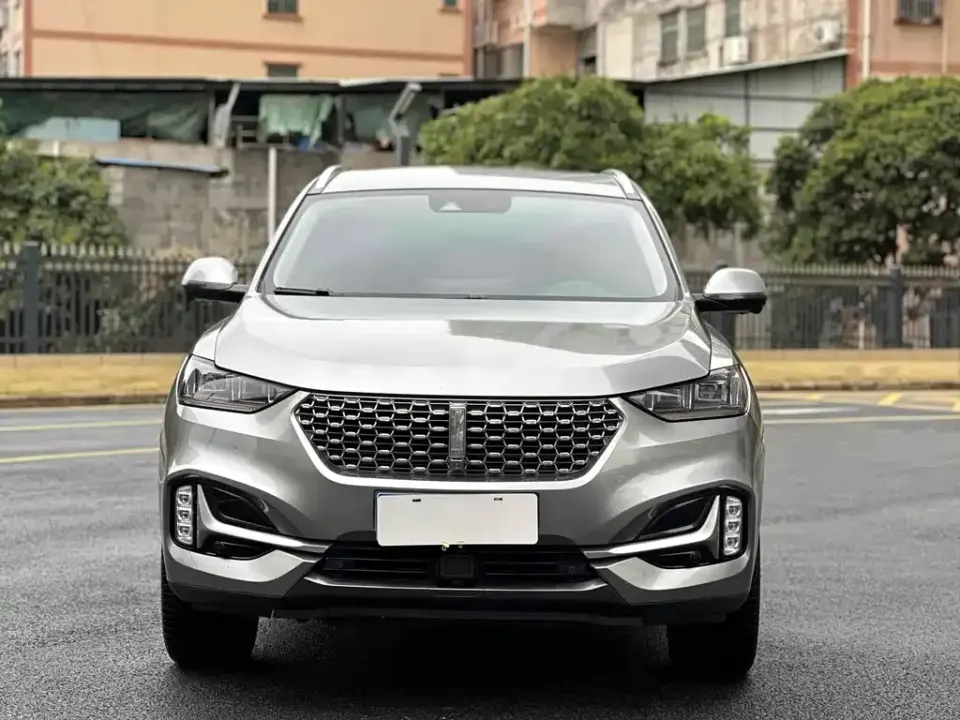 WEY Wey VV6