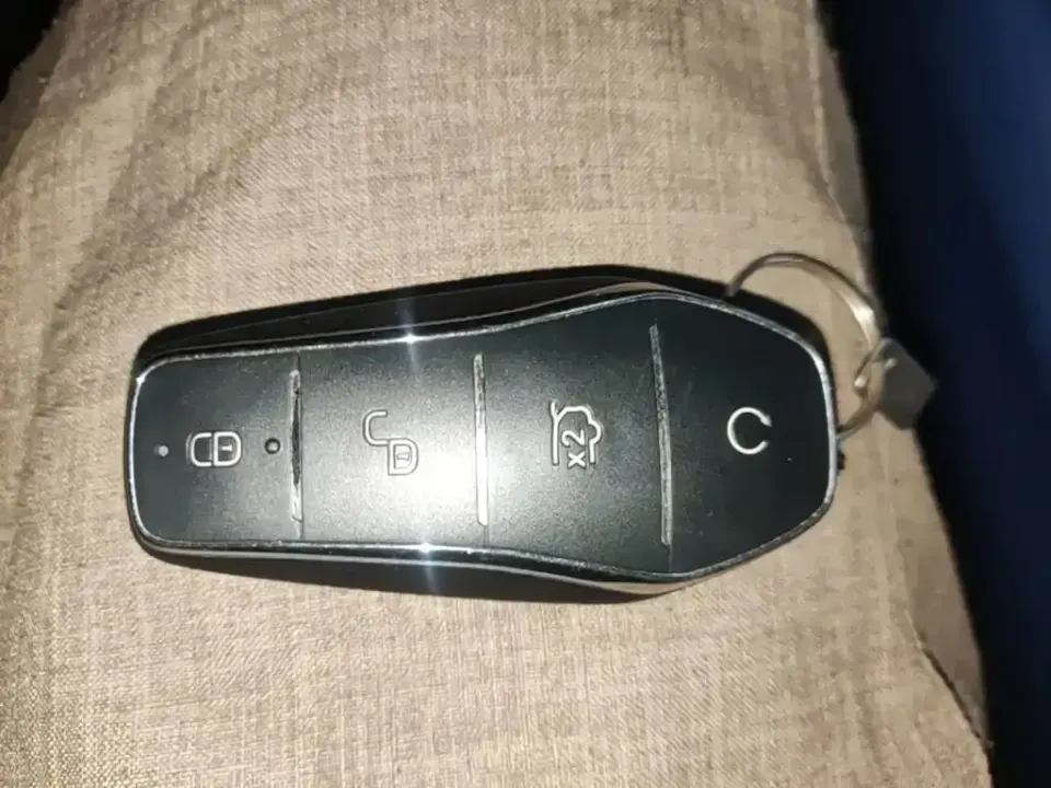 BYD Seagull