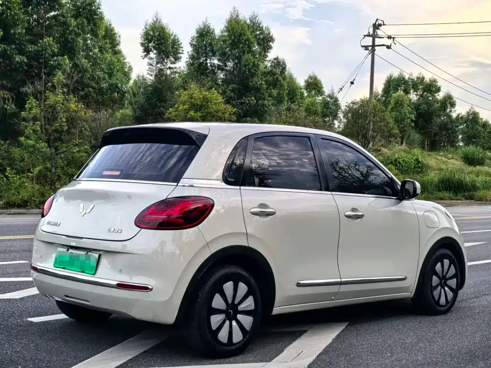 Wuling Bingo