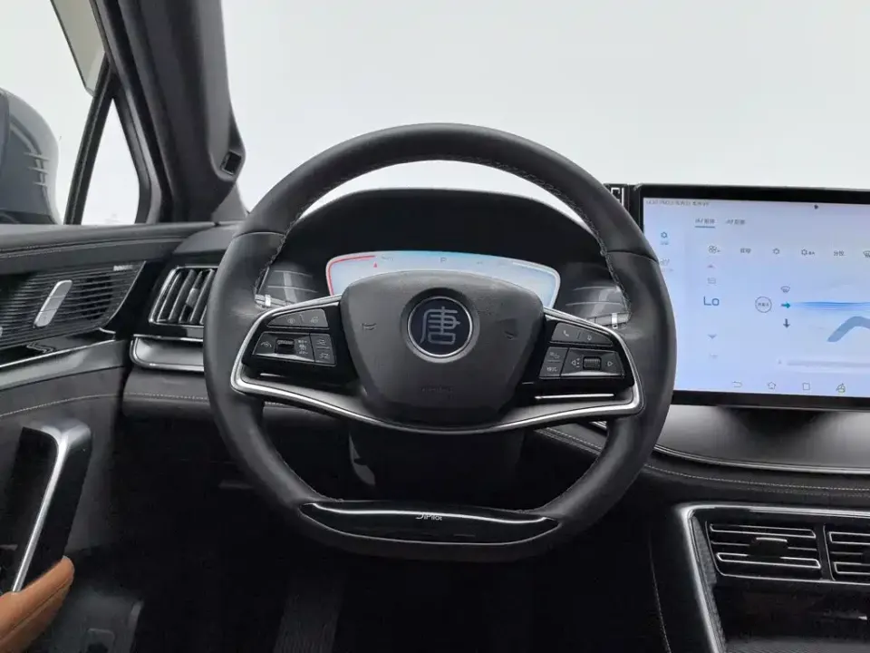 BYD Tang New Energy