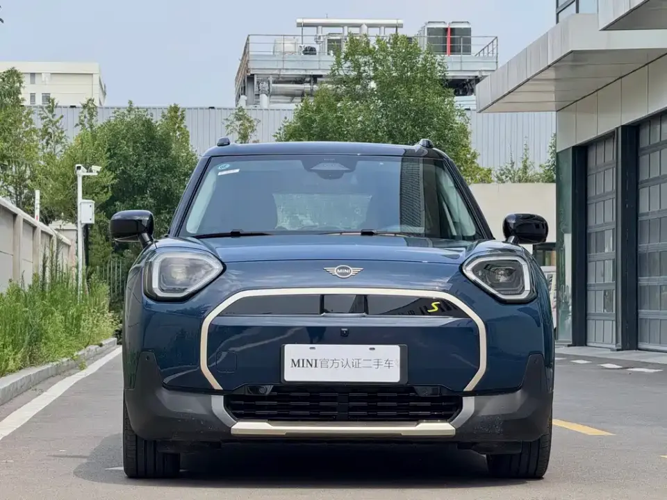 MINI MINI ACEMAN EV