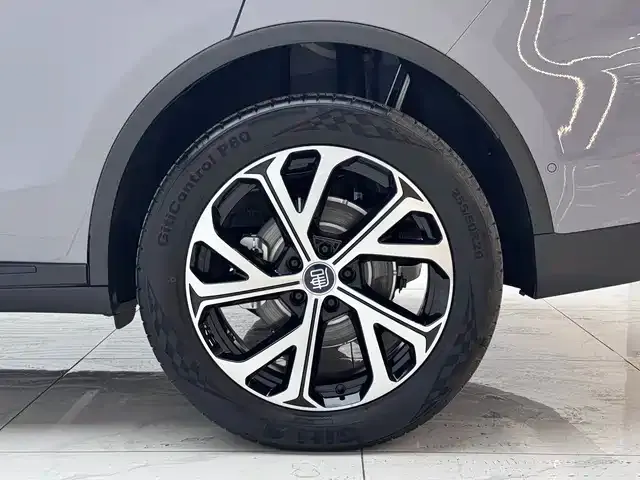 BYD Tang New Energy