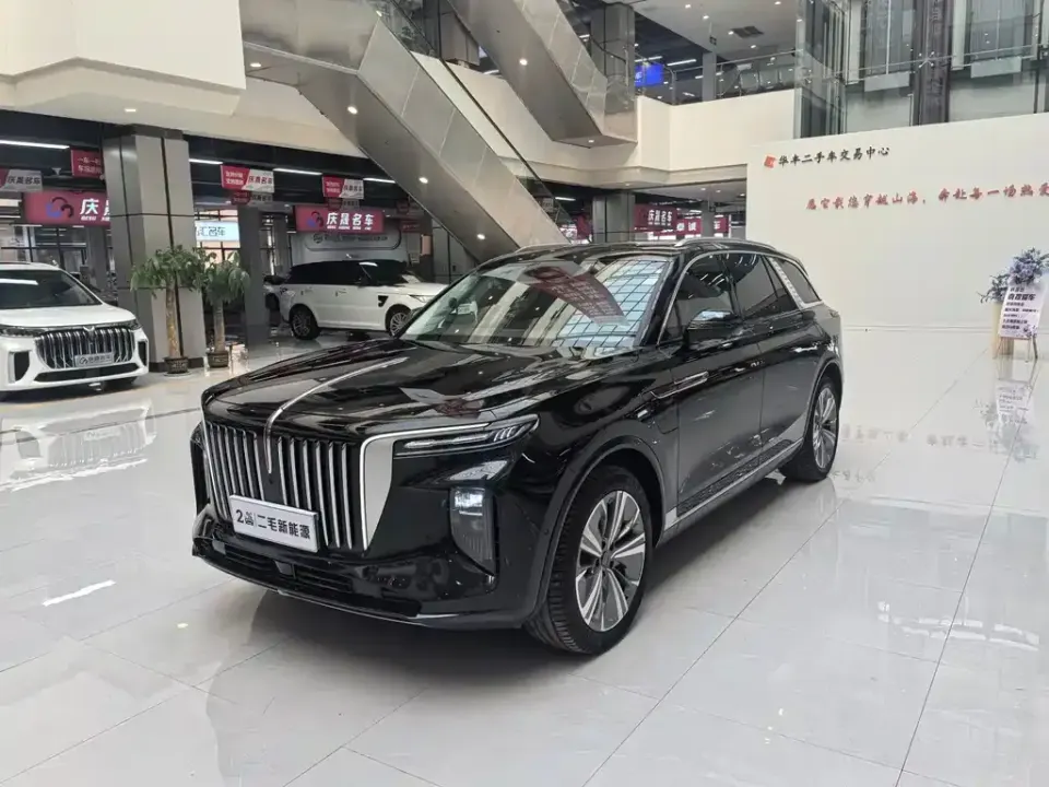 Hongqi Hongqi E-HS9