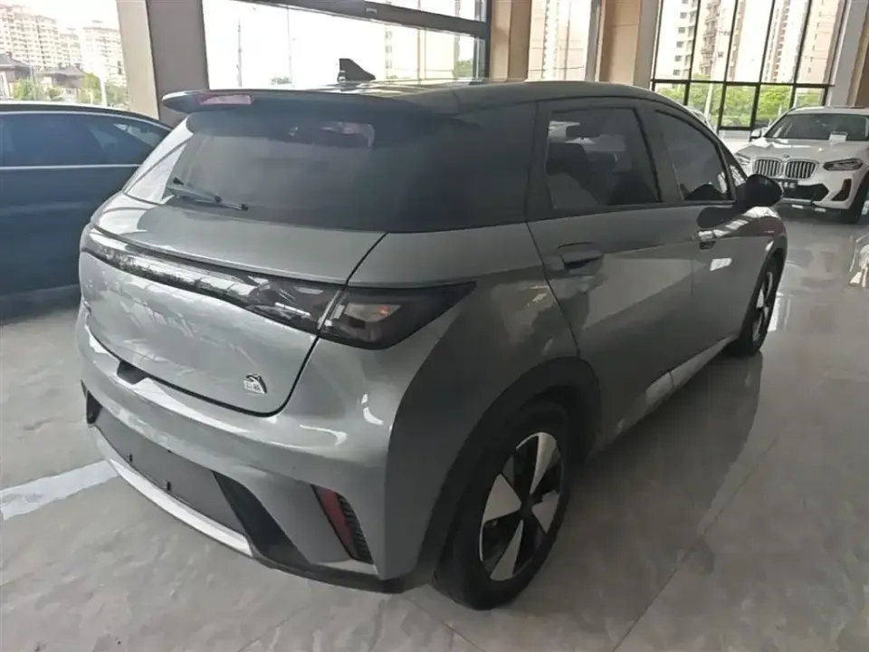BYD Dolphin
