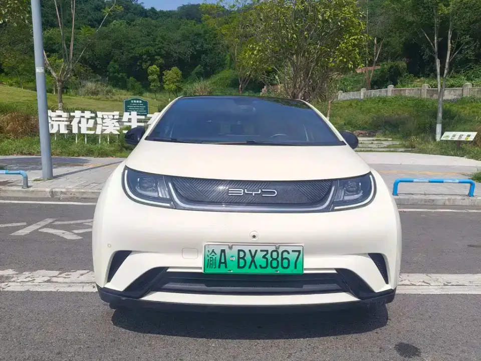 BYD Dolphin