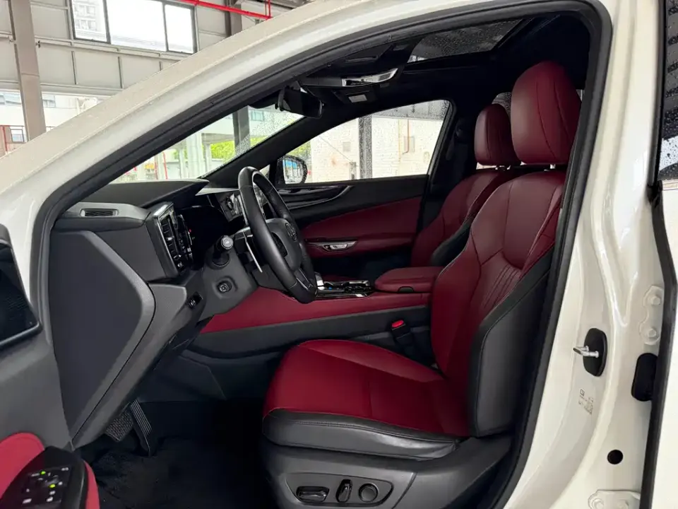 Lexus NX New Energy