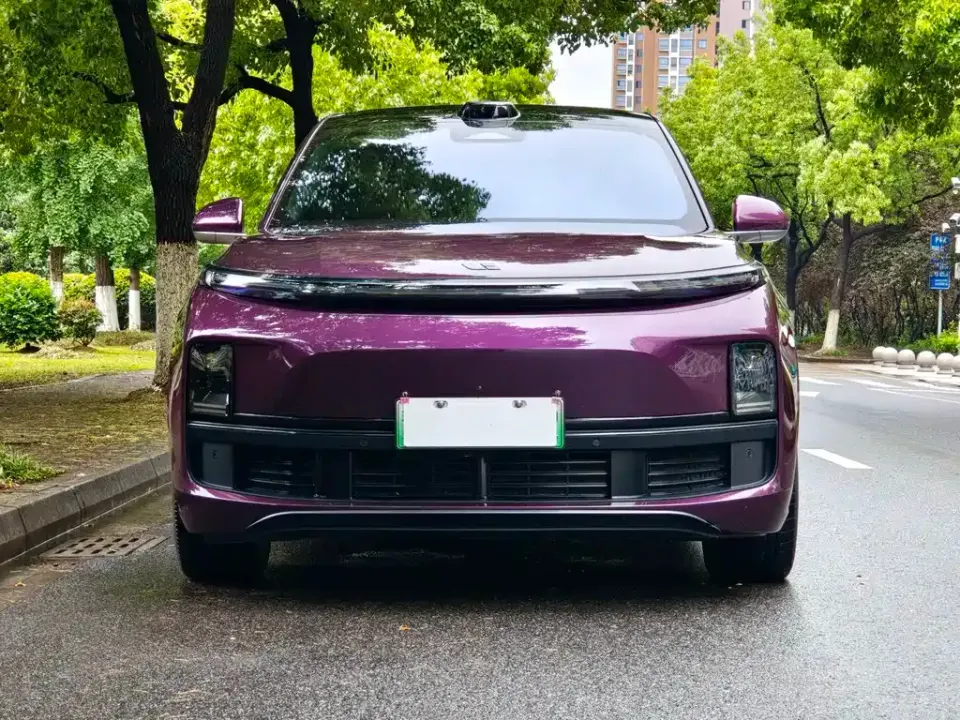 Li Li L9