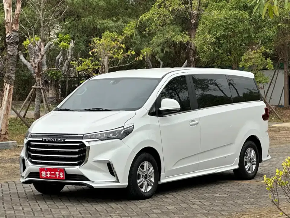 Maxus G20