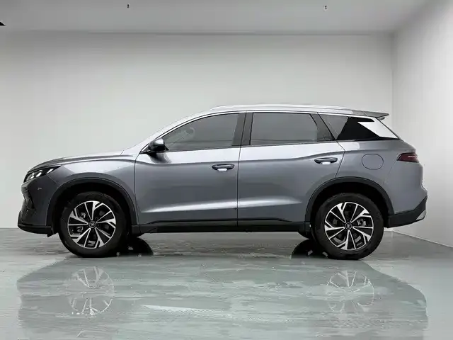 BYD Pro New Energy