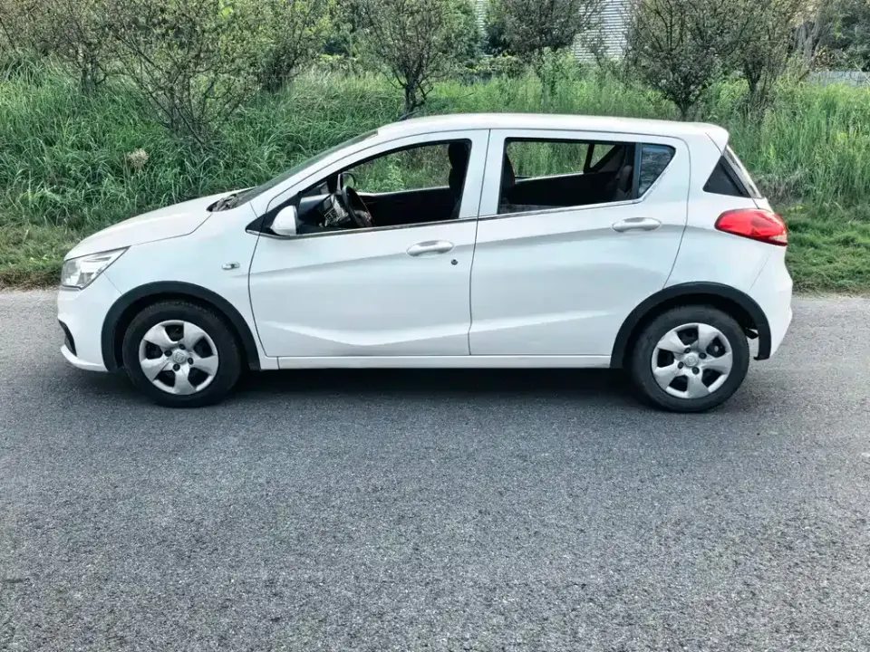 Baojun 310