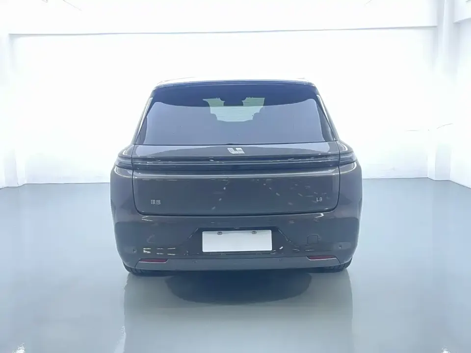 Li Li L8