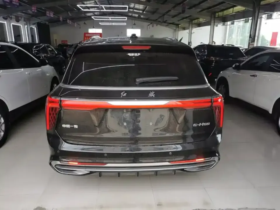 Hongqi Hongqi E-HS9
