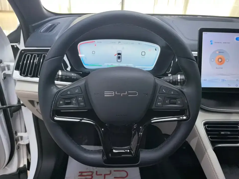BYD PLUS New Energy