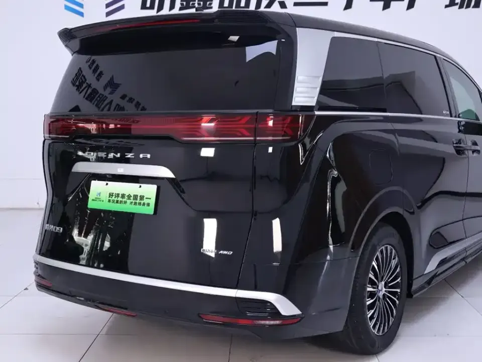 Denza Denza D9