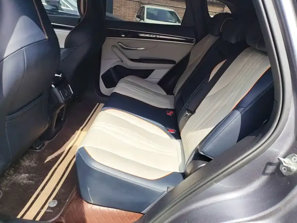 BYD PLUS New Energy