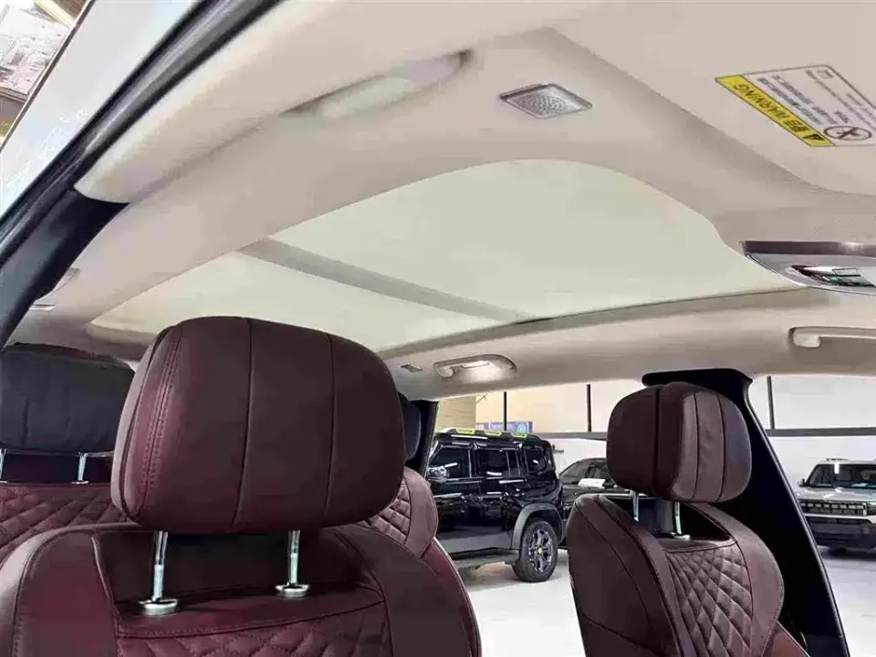 Hongqi Hongqi E-HS9