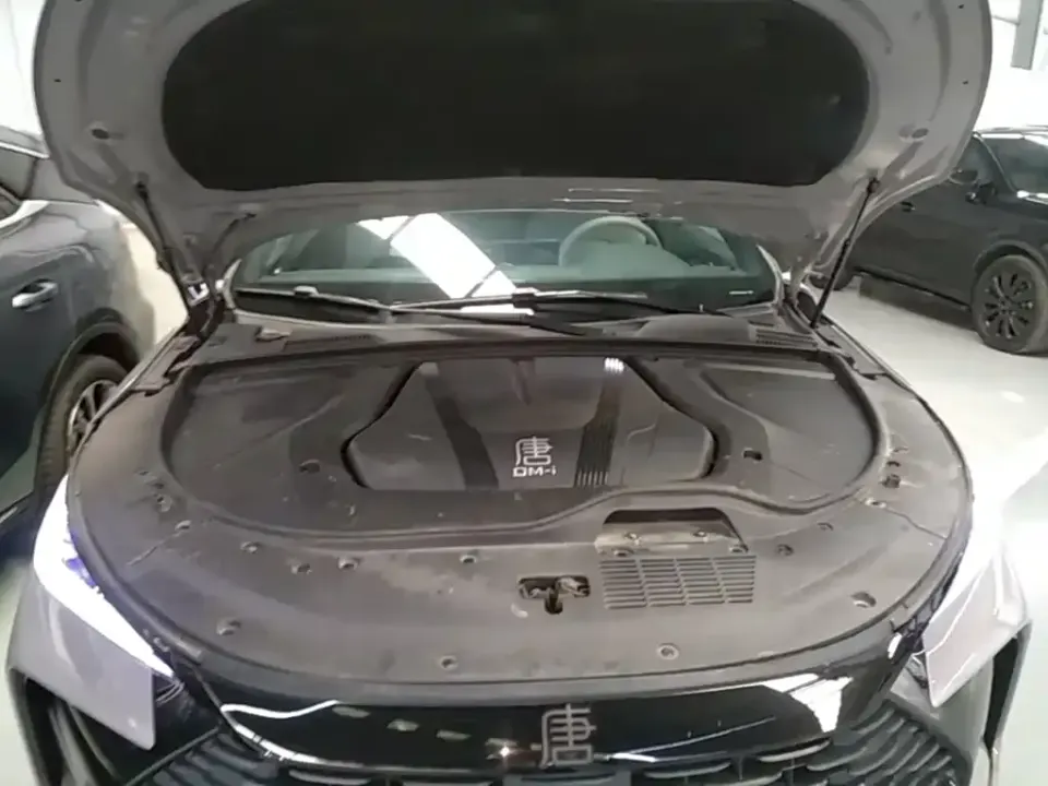 BYD Tang New Energy