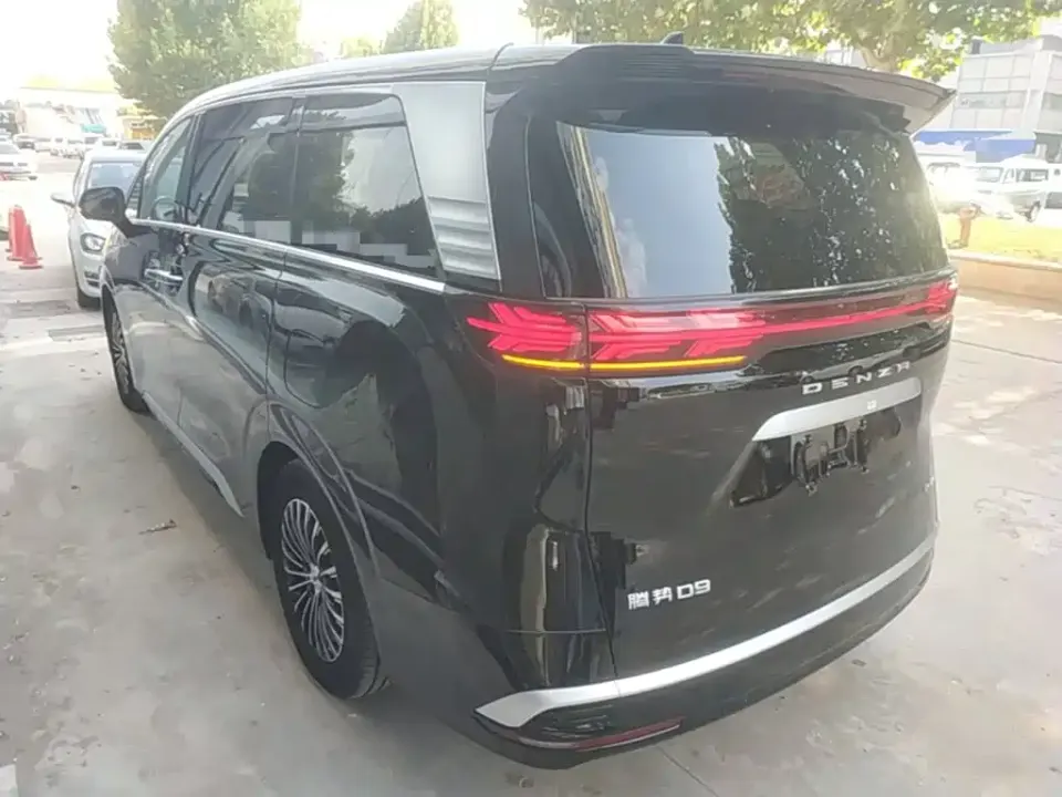 Denza Denza D9