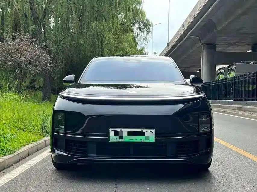 Li Li L8