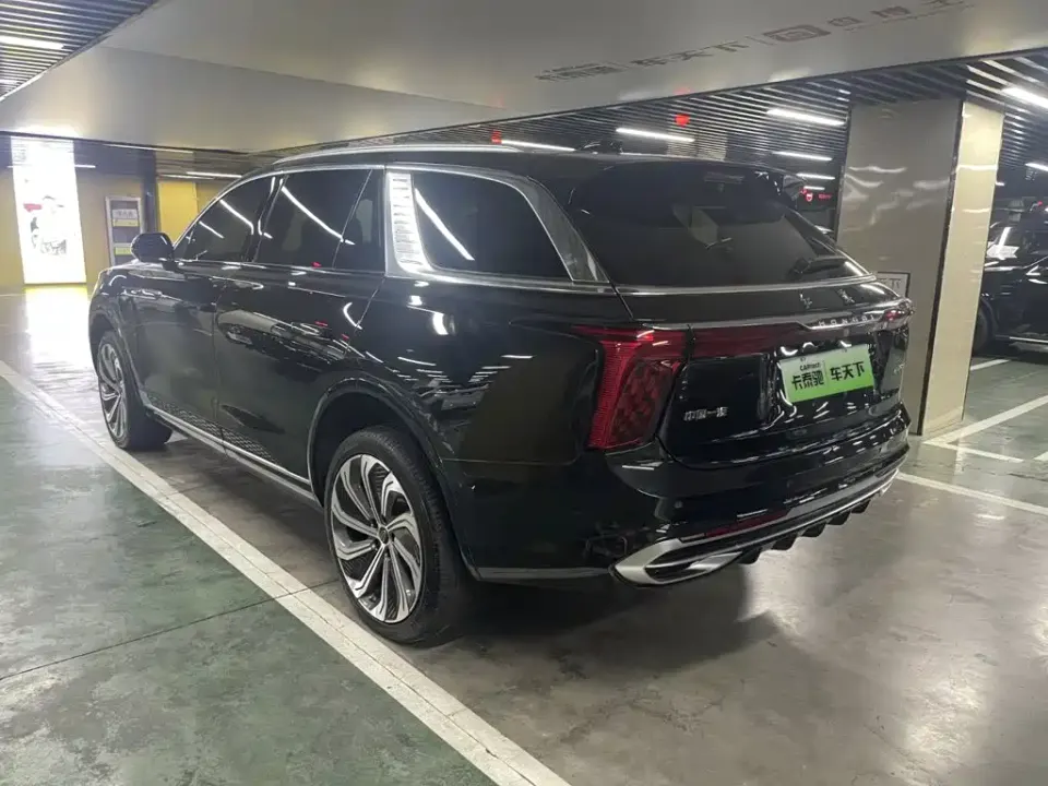Hongqi Hongqi E-HS9