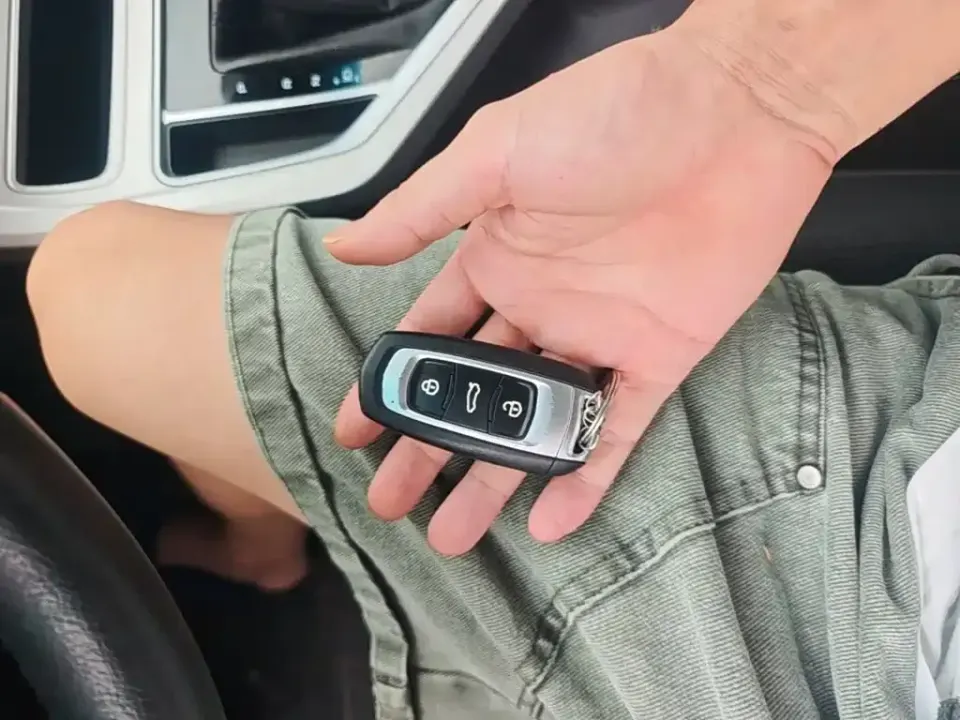 Geely Vision